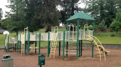 Playground Mulch