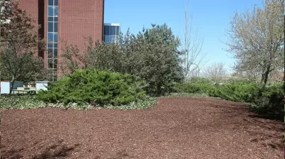 Corporate Landscape Example 6 Photo