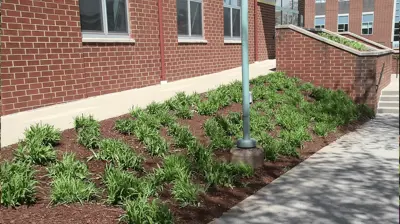 Corporate Landscape Example 5 Photo