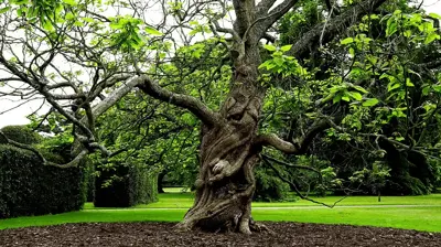 Corporate Landscape Example 7 Photo