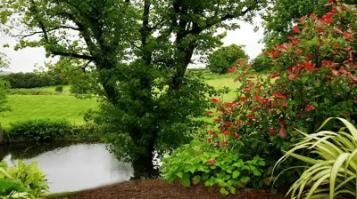 Corporate Landscape Example 9 Photo