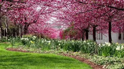 Corporate Landscape Example Photo