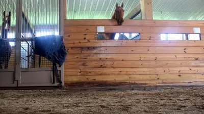 Arena Footing and Horse Bedding Photo