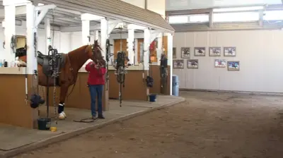 Arena Footing and Horse Bedding Photo