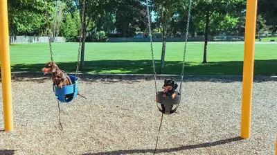Playground Mulch 2 Photo