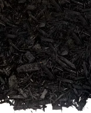 Black Dyed Mulch